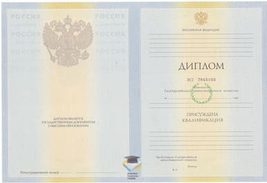 Диплом ИМБ 2010-2011 годов